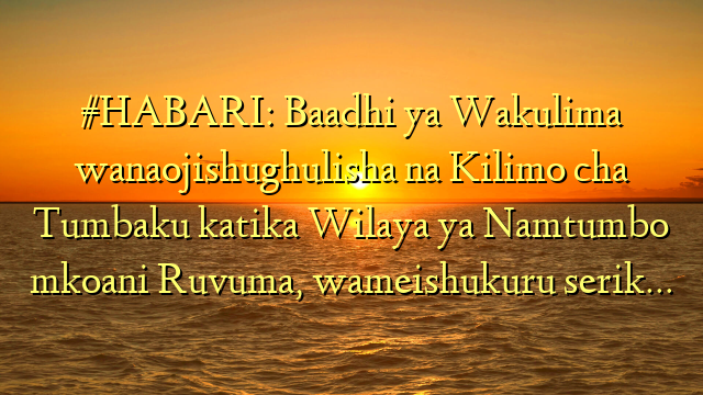 #HABARI: Baadhi ya Wakulima wanaojishughulisha na Kilimo cha Tumbaku katika Wilaya ya Namtumbo mkoani Ruvuma, wameishukuru serik…