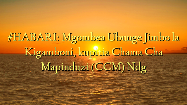 #HABARI: Mgombea Ubunge Jimbo la Kigamboni, kupitia Chama Cha Mapinduzi (CCM) Ndg