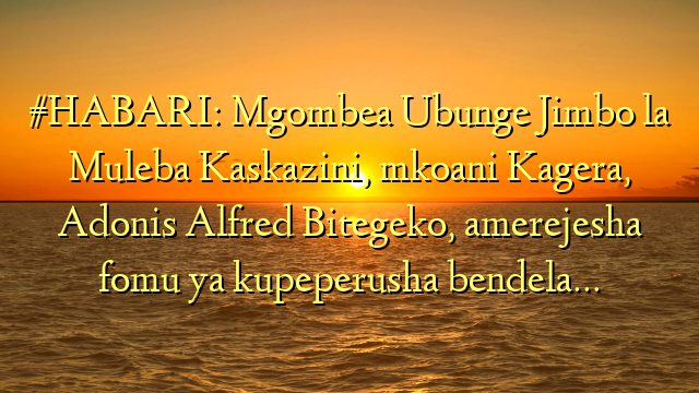 #HABARI: Mgombea Ubunge Jimbo la Muleba Kaskazini, mkoani Kagera, Adonis Alfred Bitegeko, amerejesha fomu ya kupeperusha bendela…