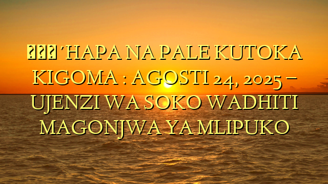 🔴HAPA NA PALE KUTOKA KIGOMA : AGOSTI 24, 2025 – UJENZI WA SOKO WADHITI MAGONJWA YA MLIPUKO