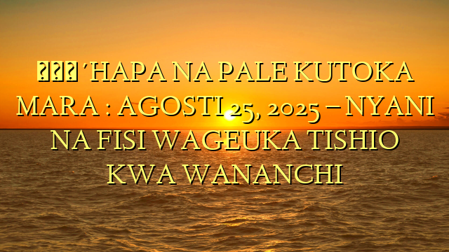 🔴HAPA NA PALE KUTOKA MARA : AGOSTI 25, 2025 – NYANI NA FISI WAGEUKA TISHIO KWA WANANCHI