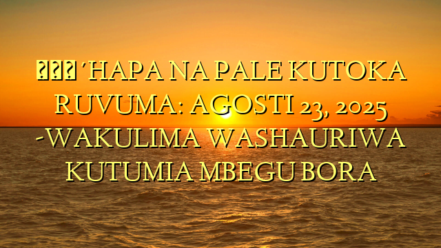 🔴HAPA NA PALE KUTOKA RUVUMA: AGOSTI 23, 2025 -WAKULIMA WASHAURIWA KUTUMIA MBEGU BORA
