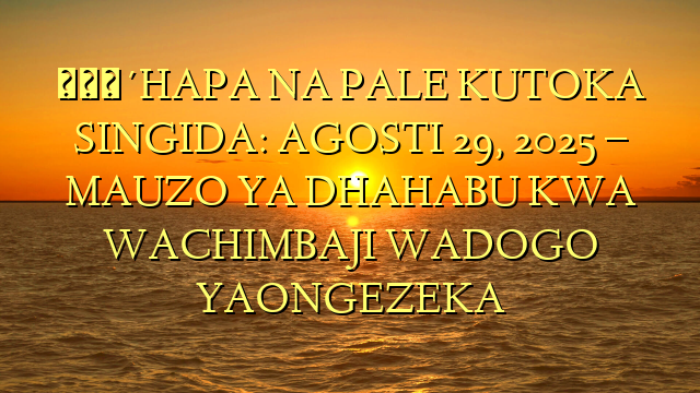 🔴HAPA NA PALE KUTOKA SINGIDA: AGOSTI 29, 2025 – MAUZO YA DHAHABU KWA WACHIMBAJI WADOGO YAONGEZEKA