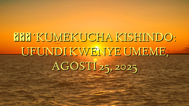 🔴KUMEKUCHA KISHINDO: UFUNDI KWENYE UMEME, AGOSTI 25, 2025
