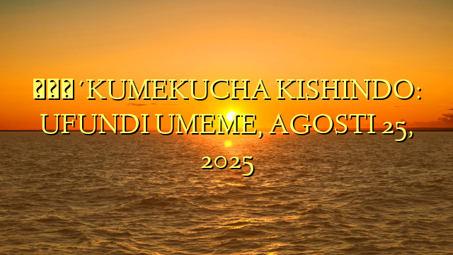 🔴KUMEKUCHA KISHINDO: UFUNDI UMEME, AGOSTI 25, 2025