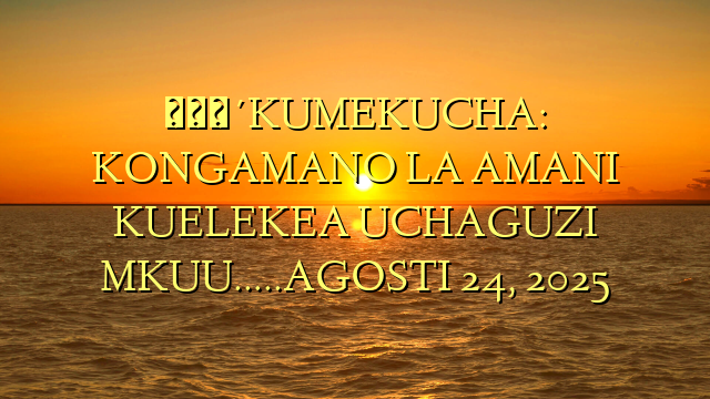 🔴KUMEKUCHA: KONGAMANO LA AMANI KUELEKEA UCHAGUZI MKUU…..AGOSTI 24, 2025