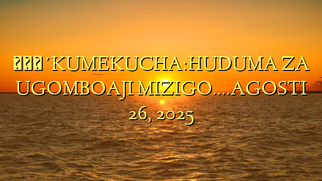 🔴KUMEKUCHA:HUDUMA ZA UGOMBOAJI MIZIGO….AGOSTI 26, 2025