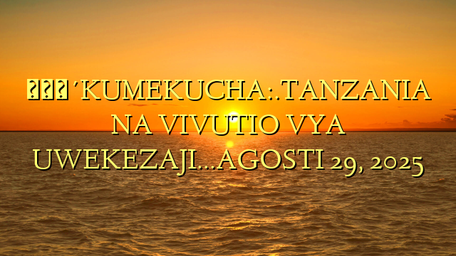 🔴KUMEKUCHA:.TANZANIA NA VIVUTIO VYA UWEKEZAJI…AGOSTI 29, 2025
