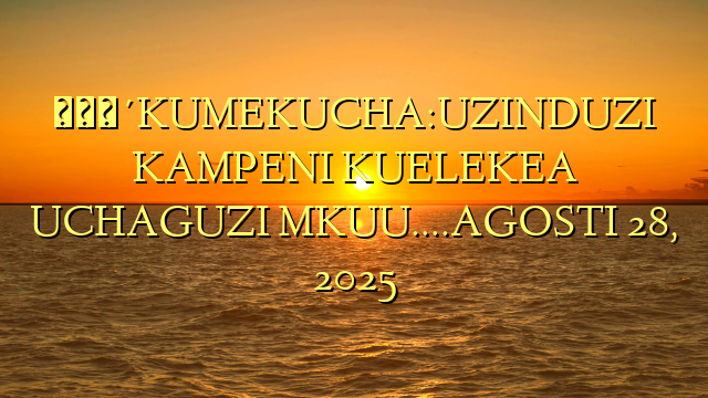 🔴KUMEKUCHA:UZINDUZI KAMPENI KUELEKEA UCHAGUZI MKUU….AGOSTI 28, 2025