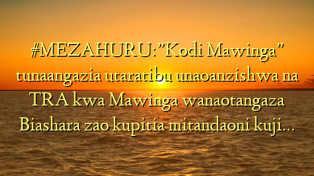 #MEZAHURU:”Kodi Mawinga” tunaangazia utaratibu unaoanzishwa na TRA kwa Mawinga wanaotangaza Biashara zao kupitia mitandaoni kuji…