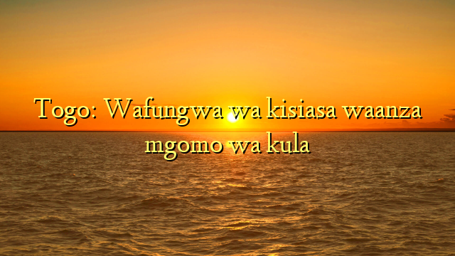 Togo: Wafungwa wa kisiasa waanza mgomo wa kula