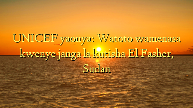 UNICEF yaonya: Watoto wamenasa kwenye janga la kutisha El Fasher, Sudan