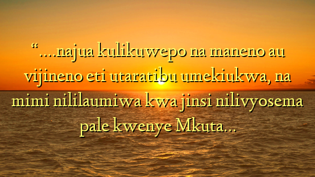 “….najua kulikuwepo na maneno au vijineno eti utaratibu umekiukwa, na mimi nililaumiwa kwa jinsi nilivyosema pale kwenye Mkuta…