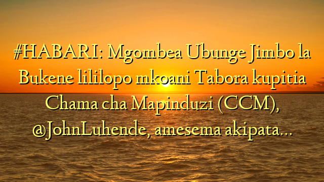 #HABARI: Mgombea Ubunge Jimbo la Bukene lililopo mkoani Tabora kupitia Chama cha Mapinduzi (CCM), @JohnLuhende, amesema akipata…