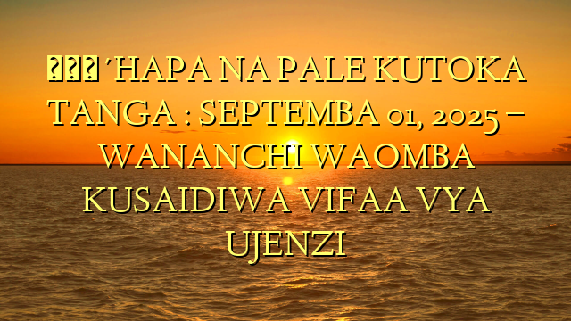 🔴HAPA NA PALE KUTOKA TANGA : SEPTEMBA 01, 2025 – WANANCHI WAOMBA KUSAIDIWA VIFAA VYA UJENZI