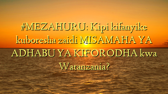 #MEZAHURU: Kipi kifanyike kuboresha zaidi MISAMAHA YA ADHABU YA KIFORODHA kwa Watanzania?