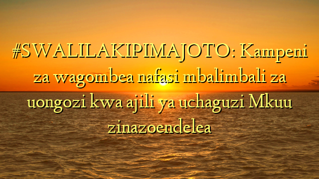 #SWALILAKIPIMAJOTO: Kampeni za wagombea nafasi mbalimbali za uongozi kwa ajili ya uchaguzi Mkuu zinazoendelea