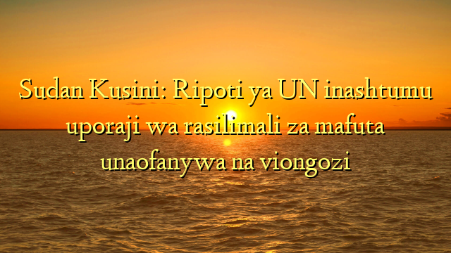 Sudan Kusini: Ripoti ya UN inashtumu uporaji wa rasilimali za mafuta unaofanywa na viongozi