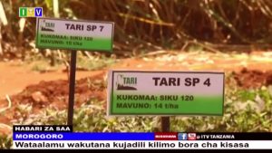 🔴HABARI ZA SAA, SAA NANE NA DAKIKA 55, OKTOBA 15, 2025