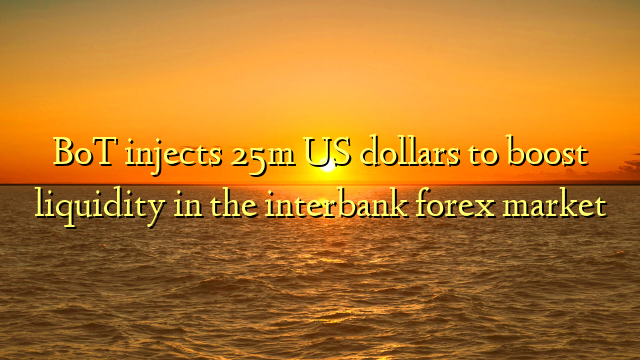BoT injects 25m US dollars to boost liquidity in the interbank forex market