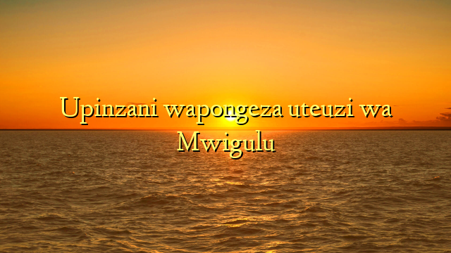 Upinzani wapongeza uteuzi wa Mwigulu