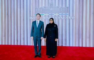 Rais Samia afanya mazungumzo na balozi Singapore, Tz