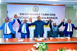 Tanzanians assured full participation in the LNG processing project