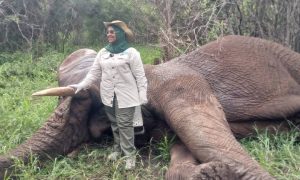 Kijaji azindua mikanda ya mawasiliano ya tembo