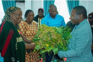 Viazi lishe kuinua kipato cha wakulima