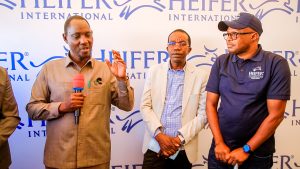 Tanzania’s dairy farming gains formal markets as it supports 1.3 million households  