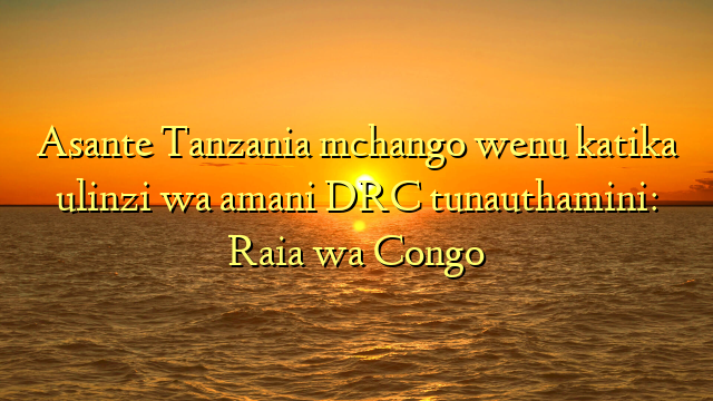 Asante Tanzania mchango wenu katika ulinzi wa amani DRC tunauthamini: Raia wa Congo