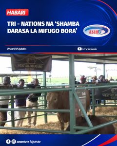 Ikiwa leo yameingia katika siku ya pili, Maonesho ya Mnada wa Kimataifa wa Mifugo (Tri – Nations Livestock Expo) umetoa mafunzo …