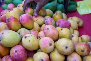 Kwa nini baadhi ya watu wanashuriwa kujiepusha kula maembe