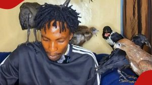 Mkenya aibua wasiwasi kuhusu TikToker anayeishi na kula pamoja na ndege wa porini