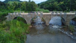 New bridge opens market lifeline for Newala cashew Farmers