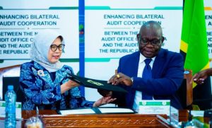 Tanzania, Indonesia sign audit pact