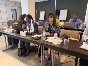 Tanzania leads UNESCO talks on safeguarding African heritage
