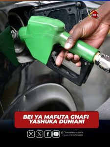 Wataalamu wa biashara ya mafuta na bidhaa zake duniani wameonya kuwa nchi nyingi zinazoagiza mafuta kupitia masoko ya kimataifa,…