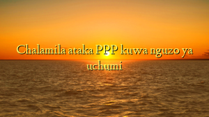 Chalamila ataka PPP kuwa nguzo ya uchumi