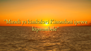 “Miradi ya kimkakati Kinondoni ipewe kipaumbele”