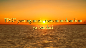 TPSF yazungumzia tozo miundombinu ya bandari