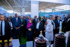 Dr Samia calls for greater innovation to elevate the DITF to a global status