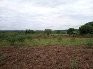 Govt urges Misungwi residents to embrace land formalisation