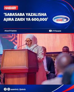 Mamlaka ya Maendeleo ya Biashara Tanzania (TanTrade) imesema Maonesho ya Kimataifa ya Biashara ya Dar es Salaam, Sabasaba, yamec…