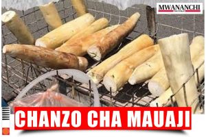 Mihogo ya kuchoma ilivyosababisha mtoto kumuua mama yake