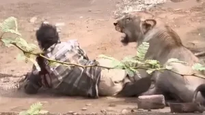 Mwanamume asimulia alivyonusurika shambulio la simba