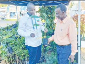 Research institute pushes farmers toward modern high-yield crops for prosperity