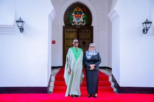Tanzania enhances ties with Gates Foundation in improving maternal and child health services  