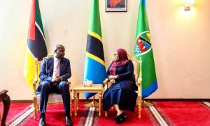 Tanzania, Mozambique cement their strategic partnership heading to the 50th DITF opening