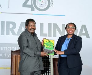 VP backs full regulatory powers for national environmental body